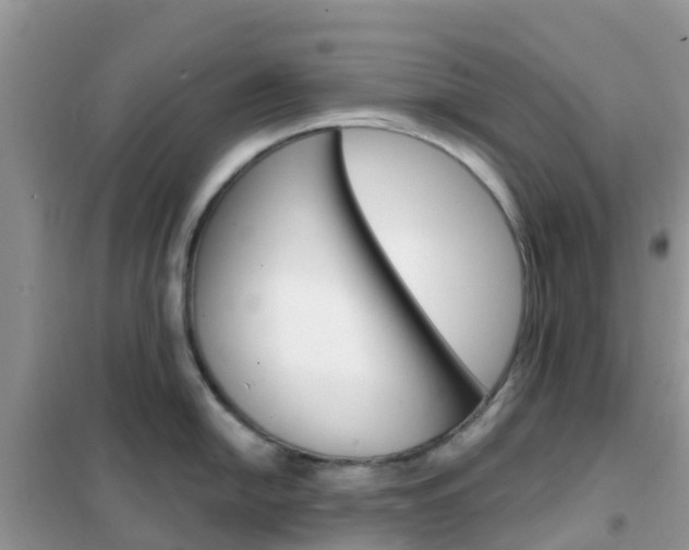 X0000102361054200808010955