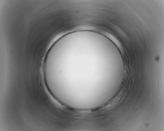 X0000102361055200808010955