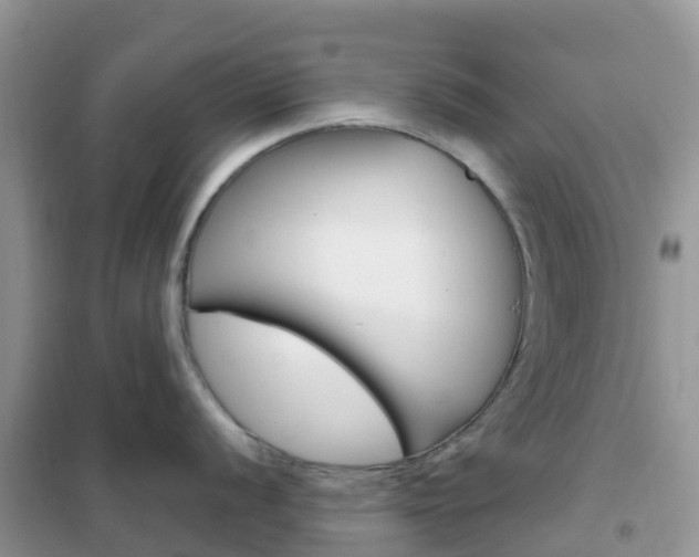 X0000102361056200808010955