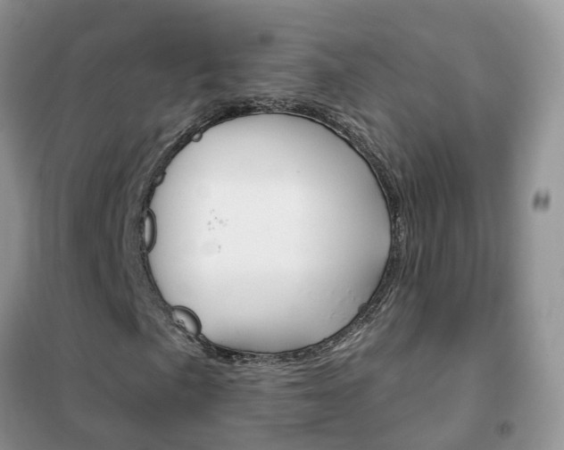 X0000102361057200808010954