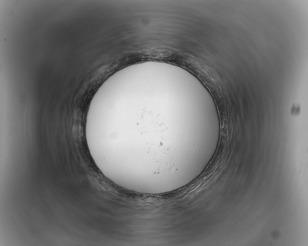 X0000102361058200808010954