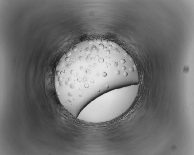 X0000102361059200808010954
