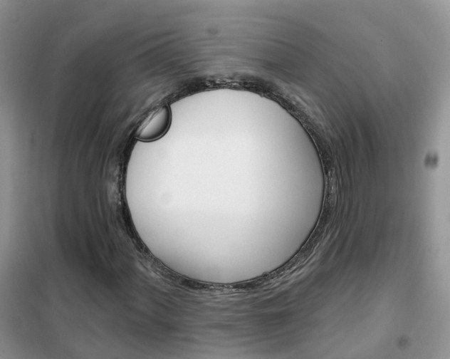 X0000102361060200808010954