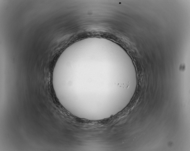 X0000102361061200808010954