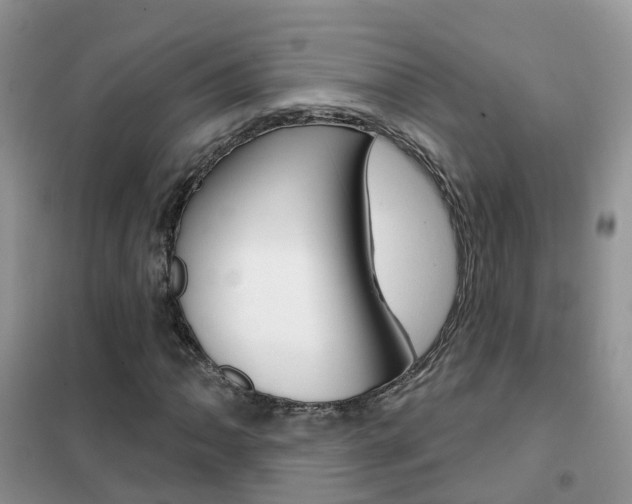X0000102361062200808010954