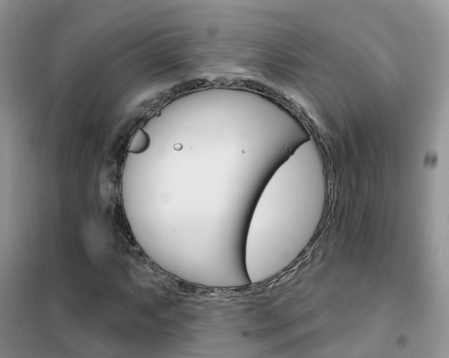 X0000102361063200808010954