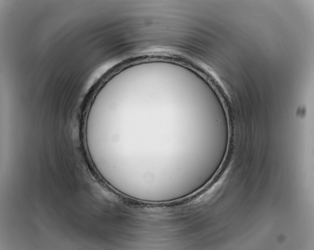 X0000102361066200808010954