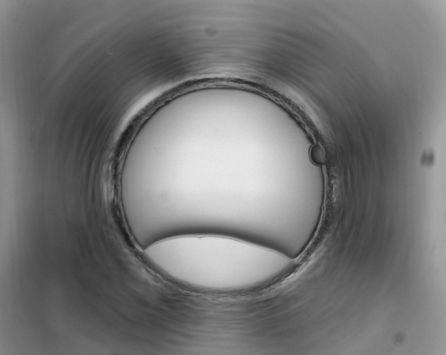 X0000102361069200808010954
