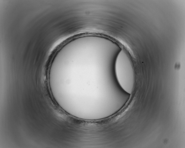 X0000102361070200808010954