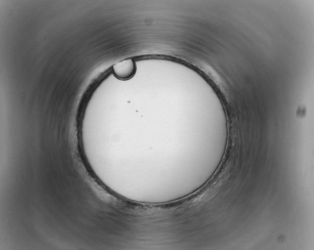X0000102361072200808010954