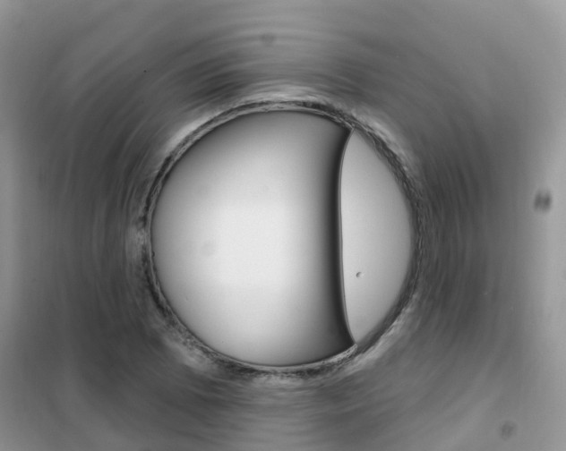 X0000102361073200808010954
