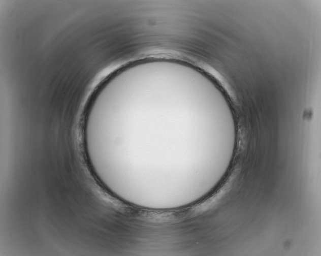X0000102361074200808010954