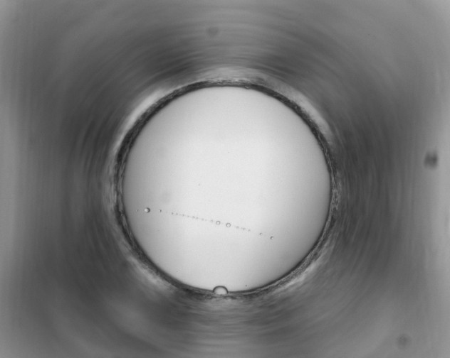 X0000102361075200808010954