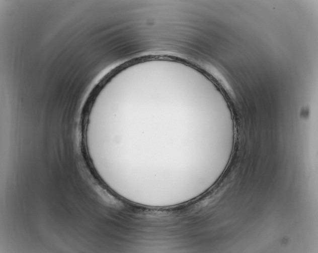 X0000102361076200808010954