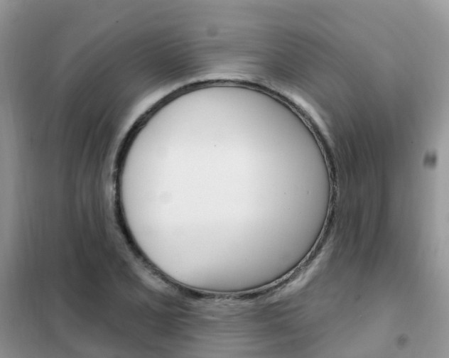 X0000102361077200808010954