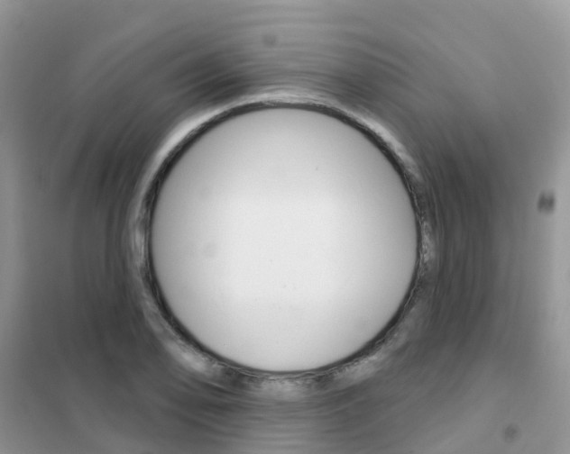 X0000102361078200808010954