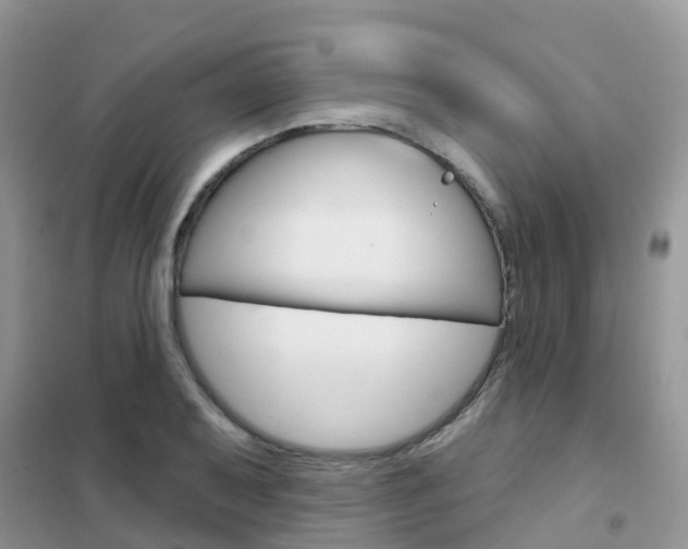 X0000102361079200808010954