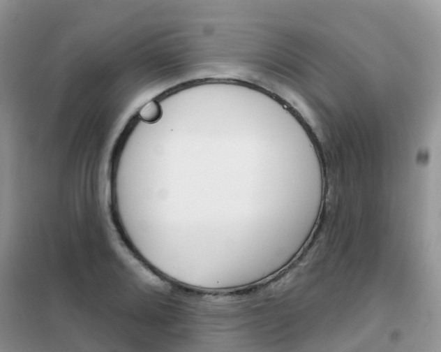 X0000102361080200808010953