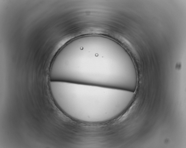 X0000102361081200808010953
