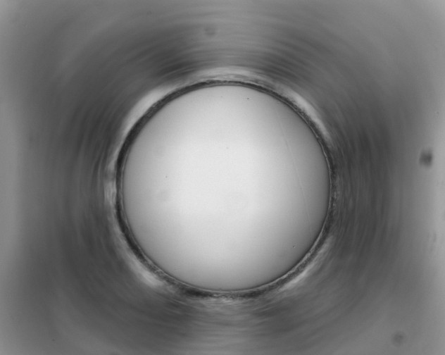 X0000102361082200808010953