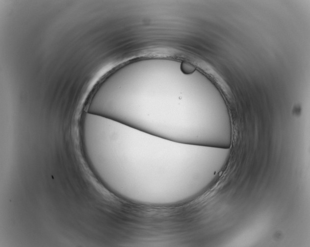 X0000102361083200808010953