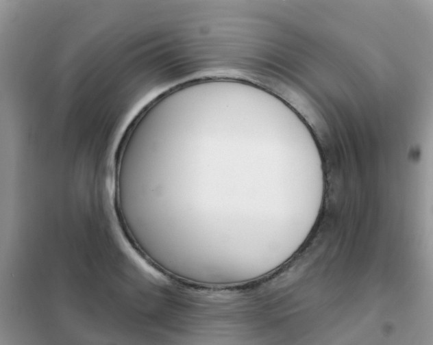 X0000102361084200808010953