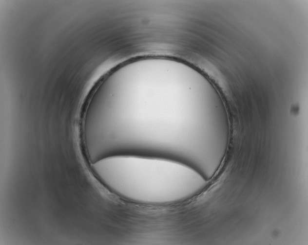 X0000102361085200808010953