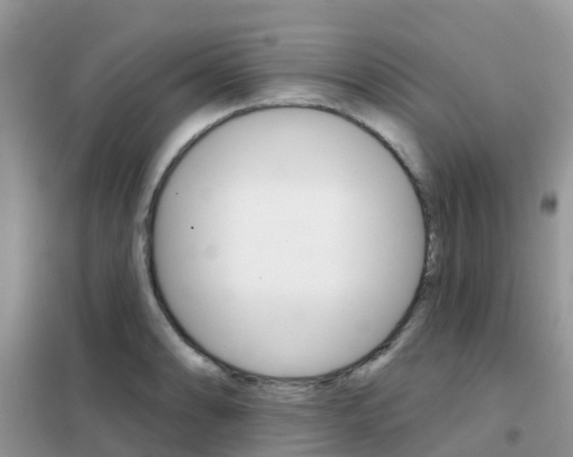 X0000102361086200808010953
