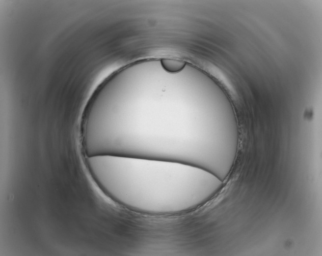 X0000102361087200808010953