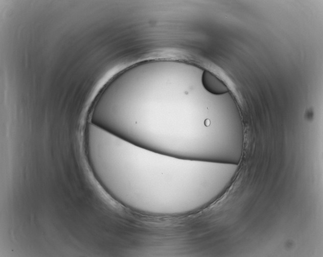 X0000102361091200808010953