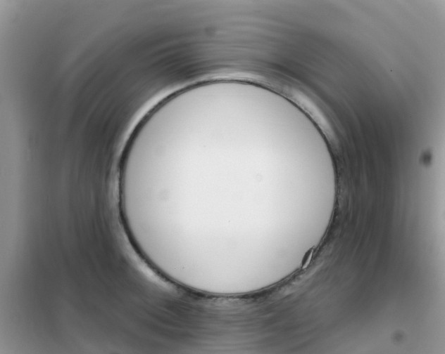 X0000102361092200808010953