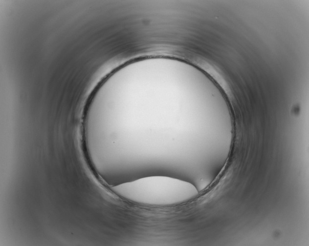 X0000102361093200808010953