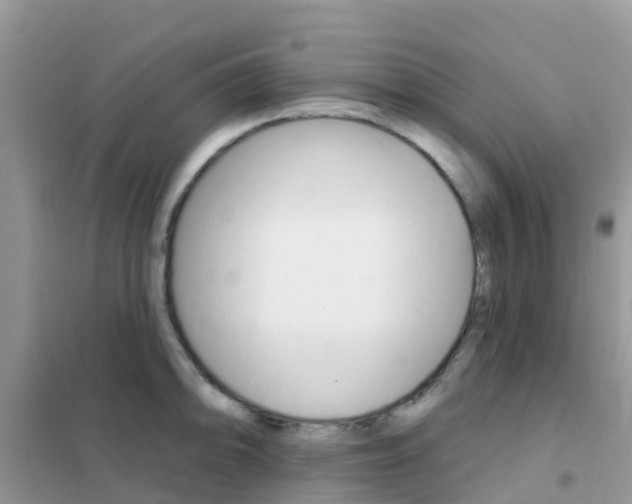 X0000102361094200808010953