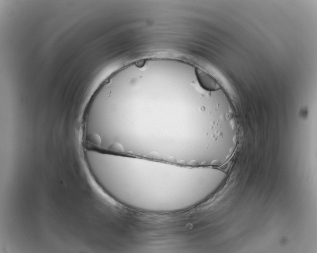 X0000102361095200808010953