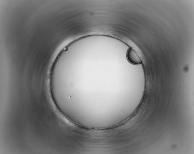 X0000102361096200808010953