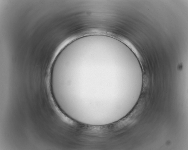 X0000102361098200808010953