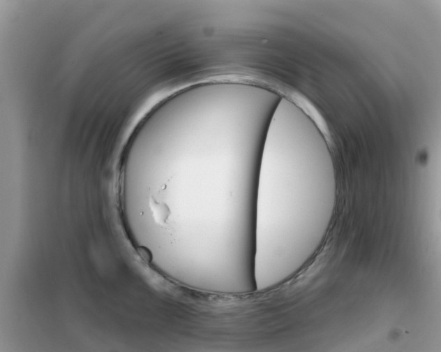 X0000102361099200808010953