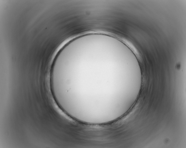 X0000102361100200808010953