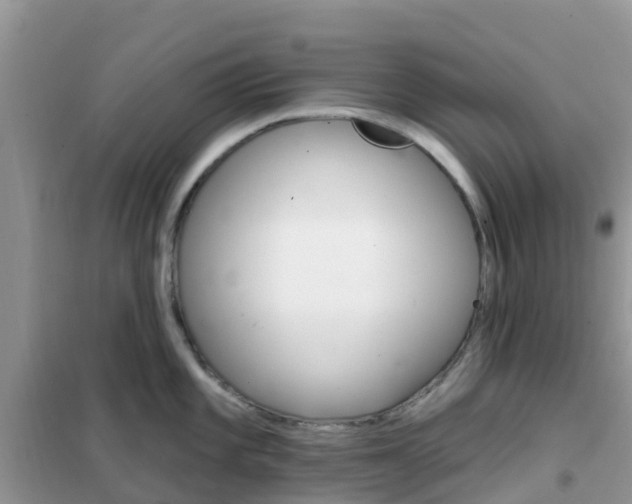 X0000102361101200808010953