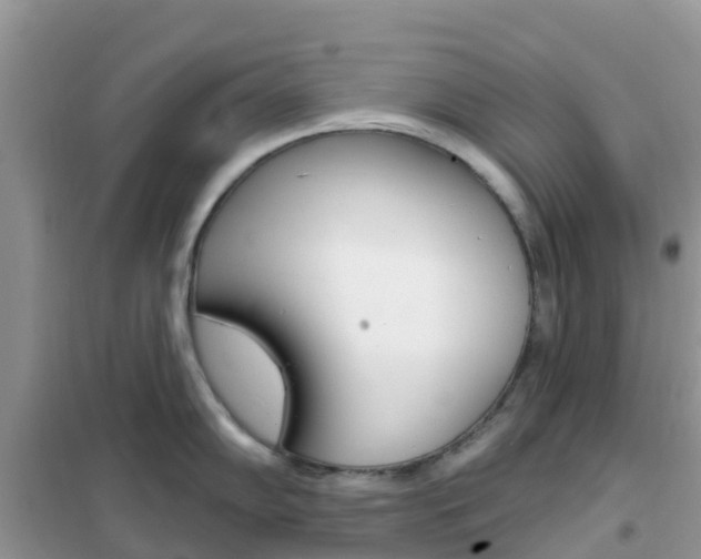 X0000102361102200808010953