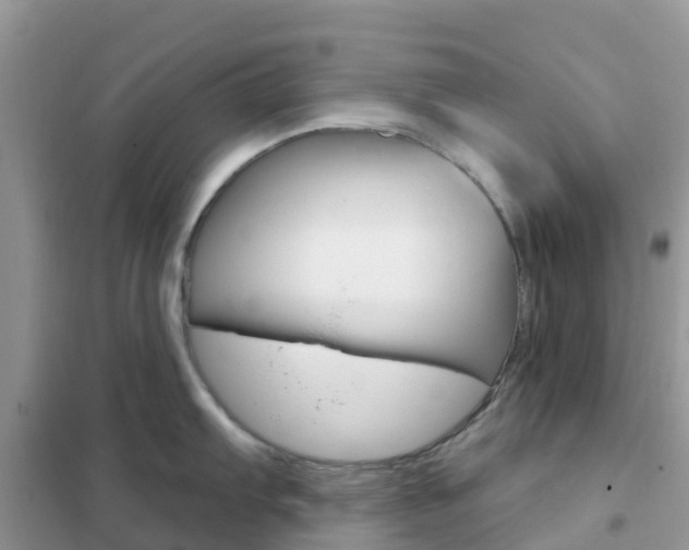 X0000102361103200808010953