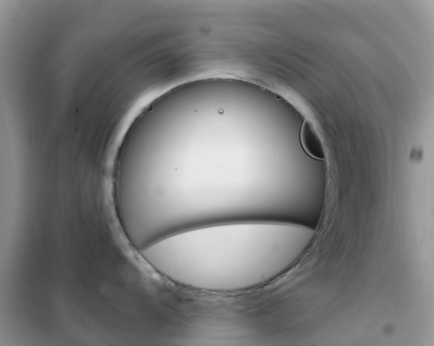 X0000102361104200808010953