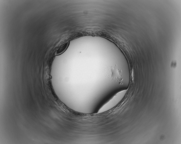 X0000102361107200808010952