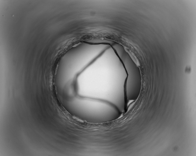 X0000102361108200808010952