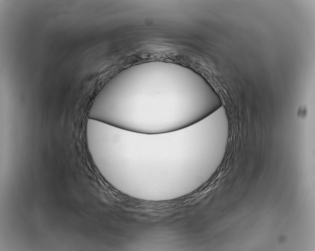 X0000102361109200808010952