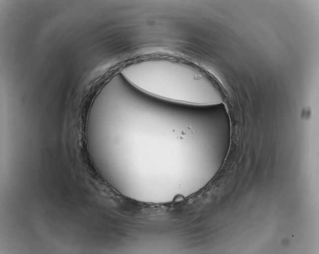 X0000102361111200808010952