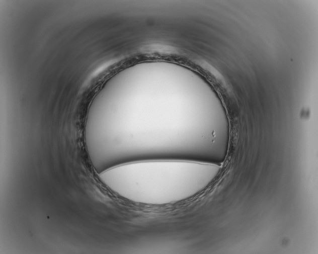 X0000102361112200808010952
