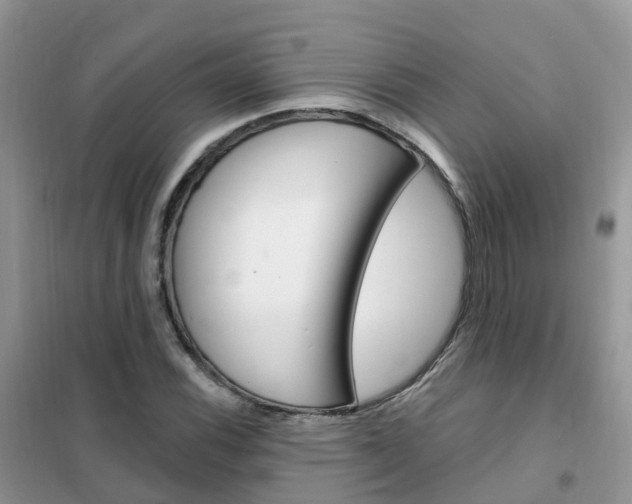 X0000102361116200808010952
