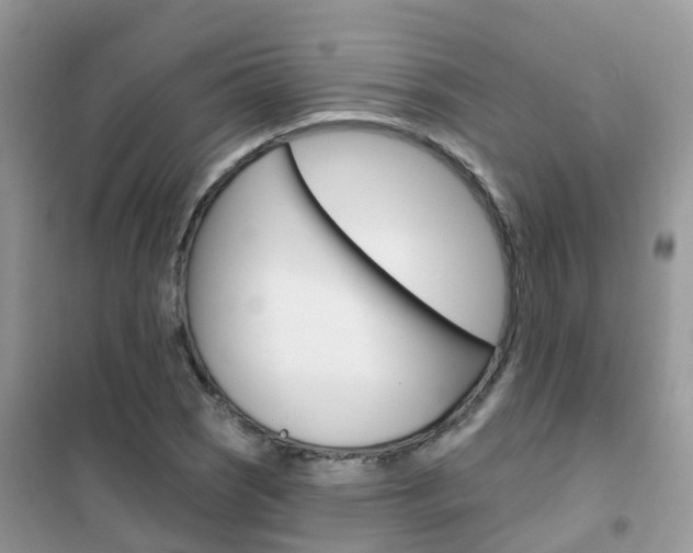 X0000102361121200808010952