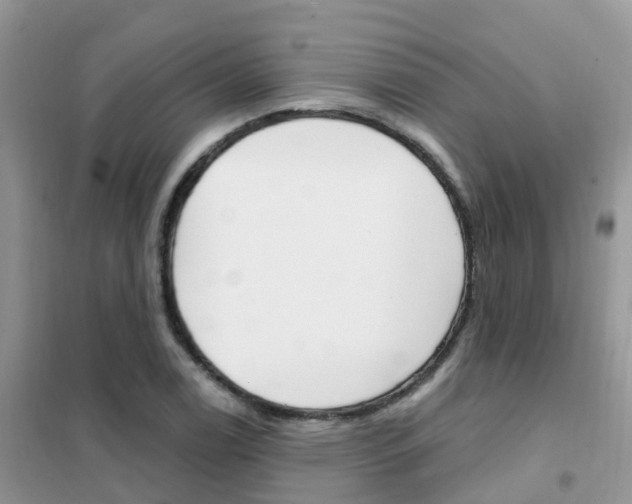 X0000102361122200808010952
